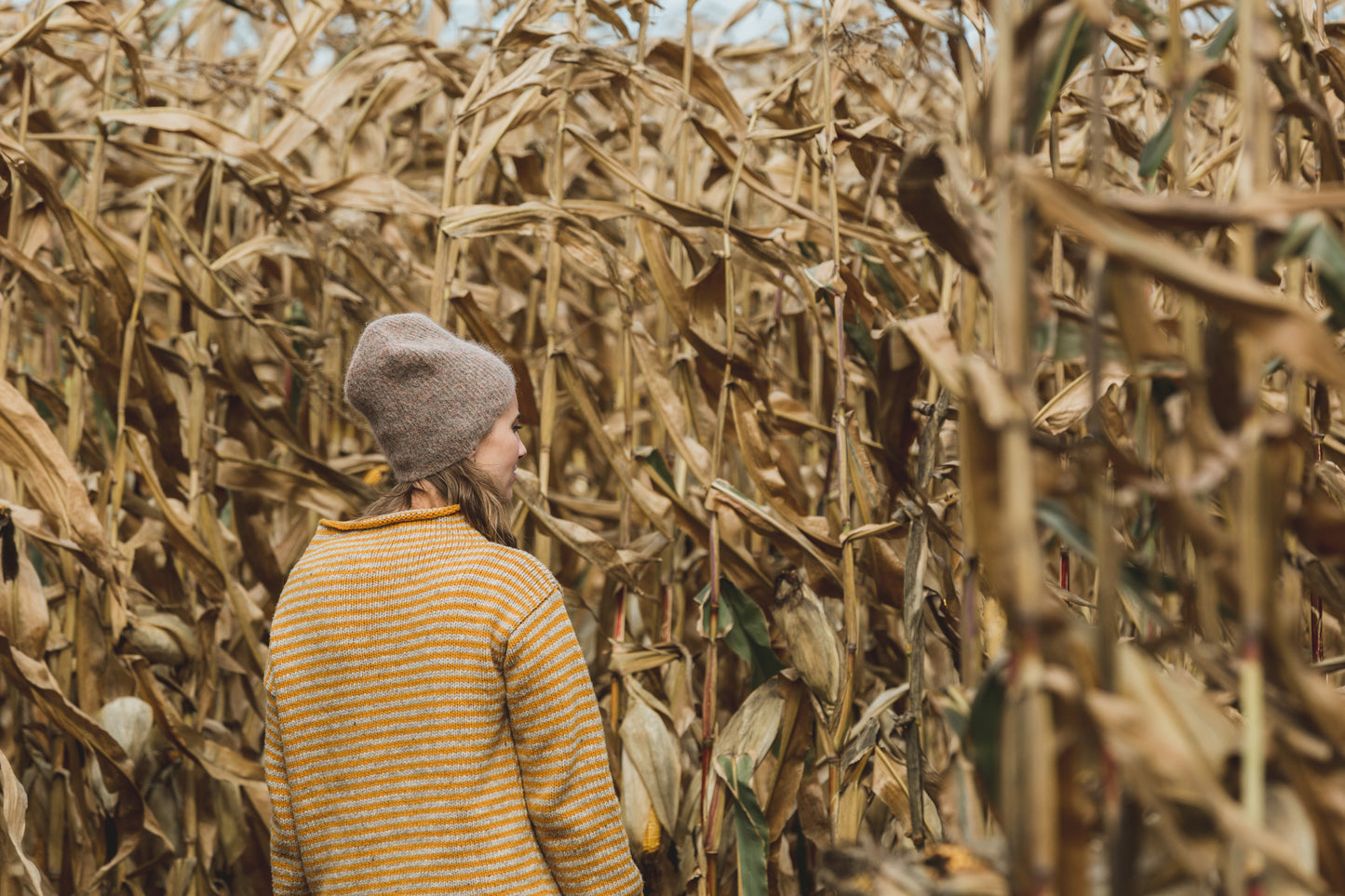 U-Pick Pumpkin Patch & Corn Maze Ticket