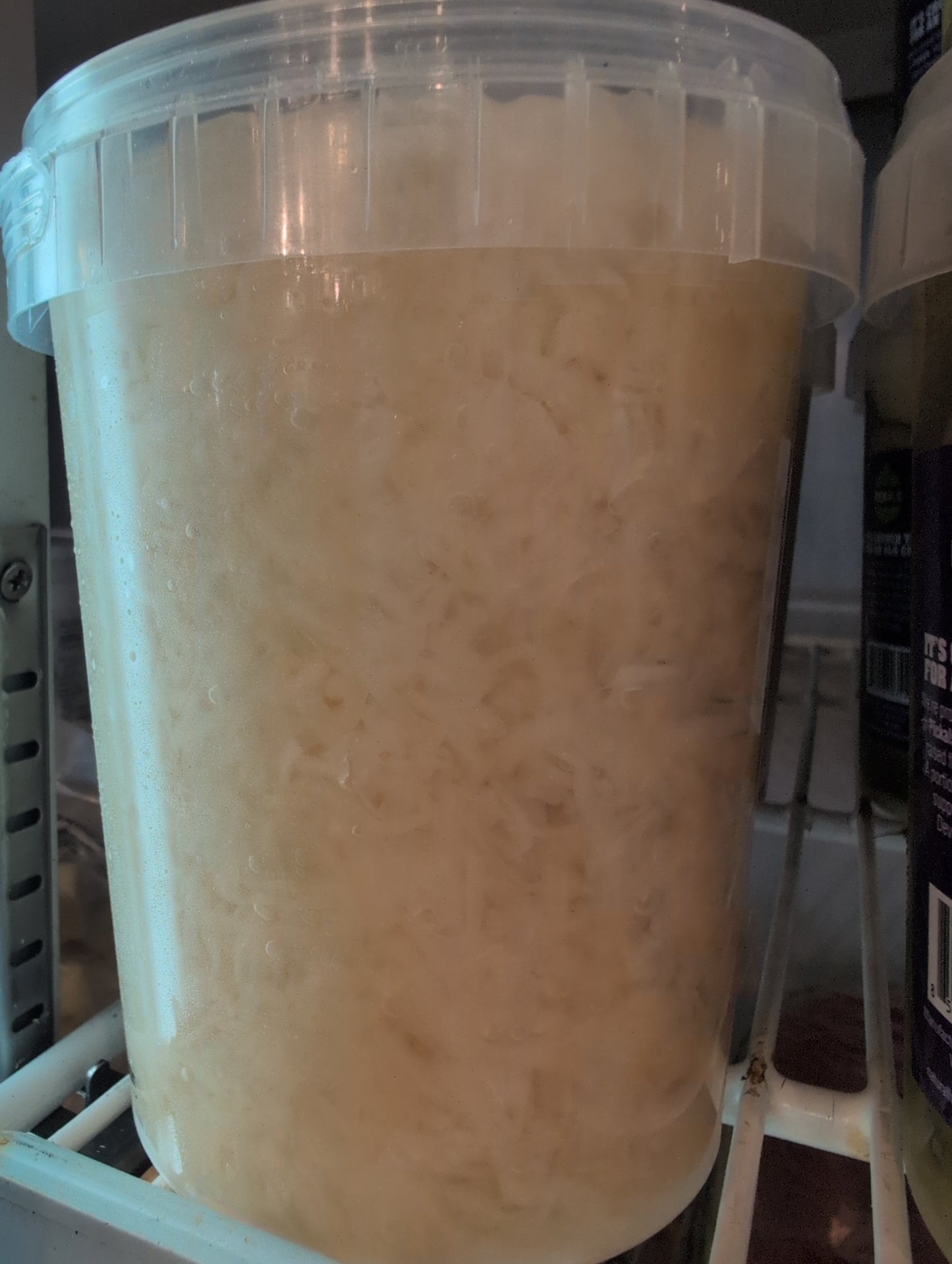 Fresh Sauerkraut