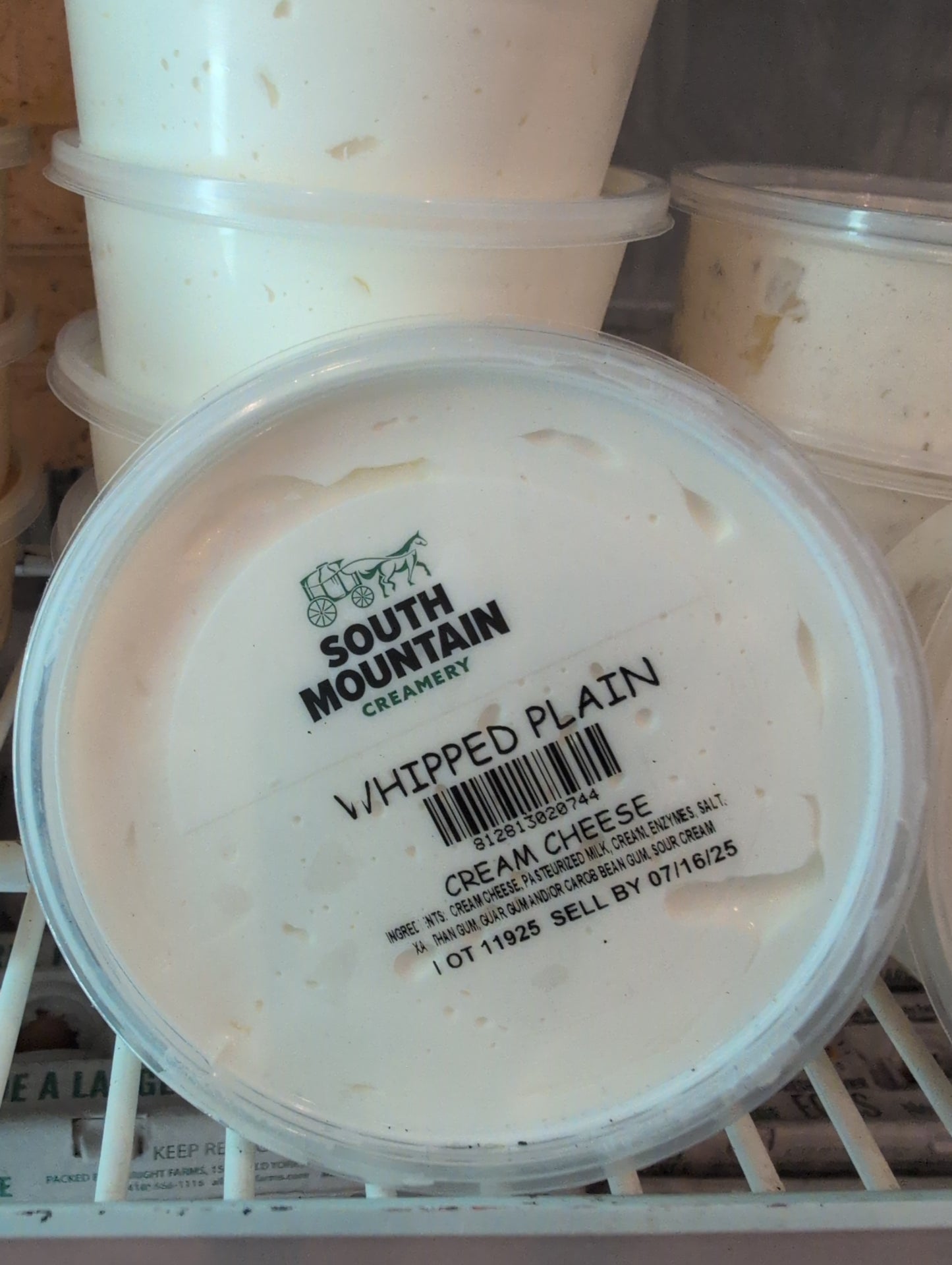 Plain Cream Cheese