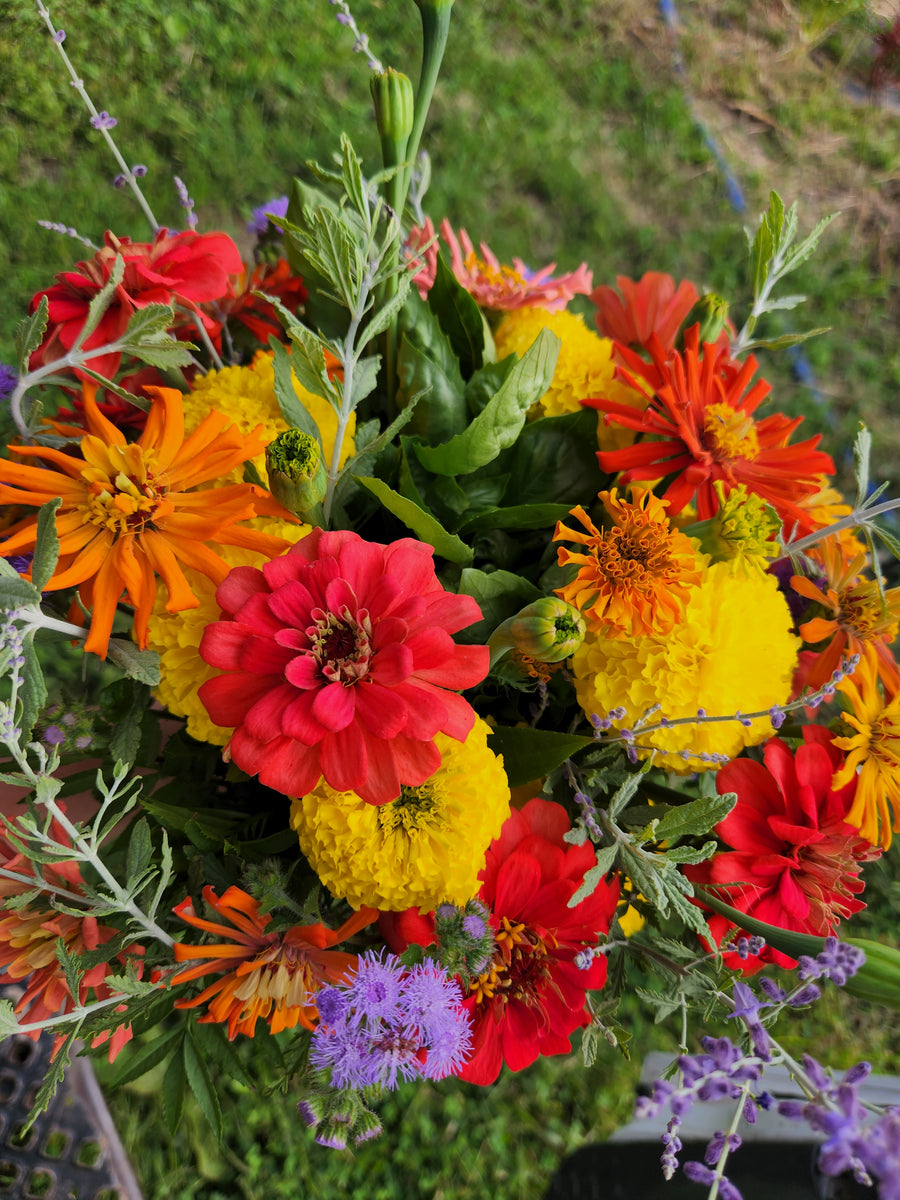 16 Week Fresh Cut Flower Subscription Jones Family Farm