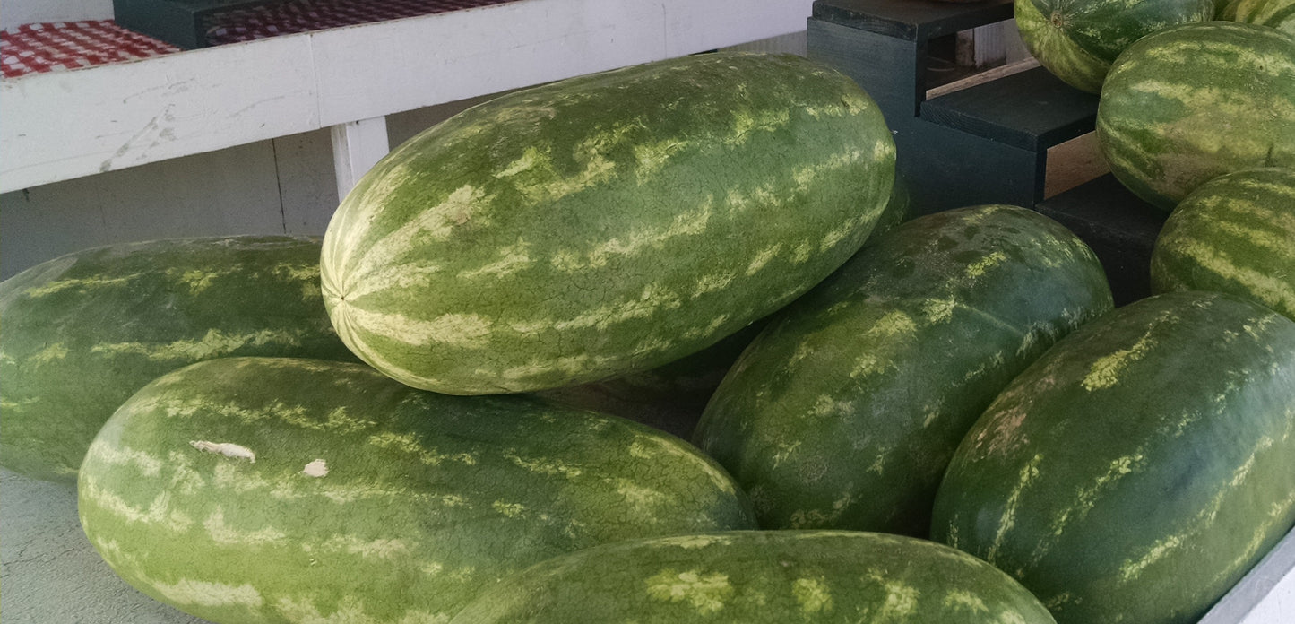 Watermelon