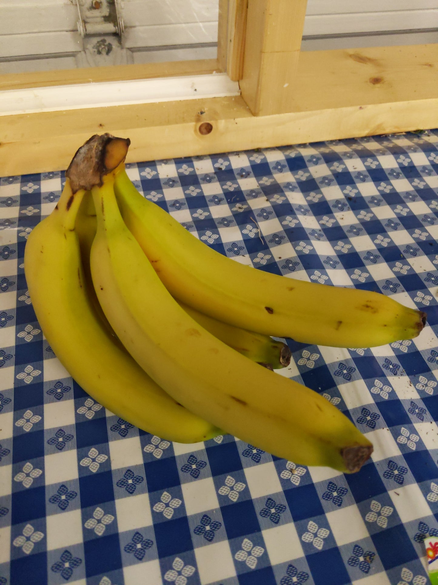 Bananas 3 lbs