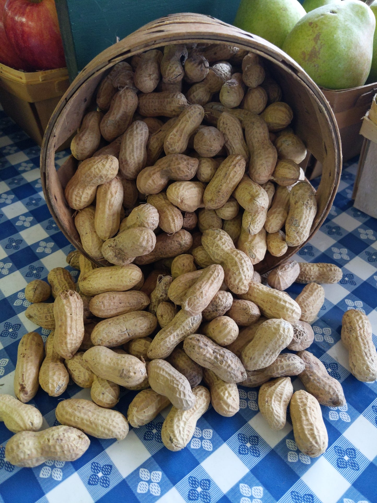 Raw Peanuts
