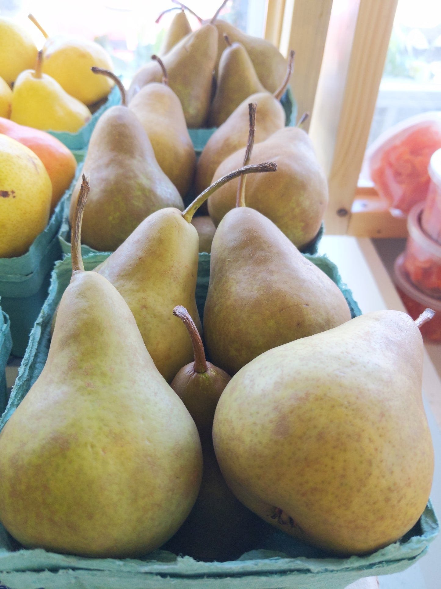 Bosc Pears
