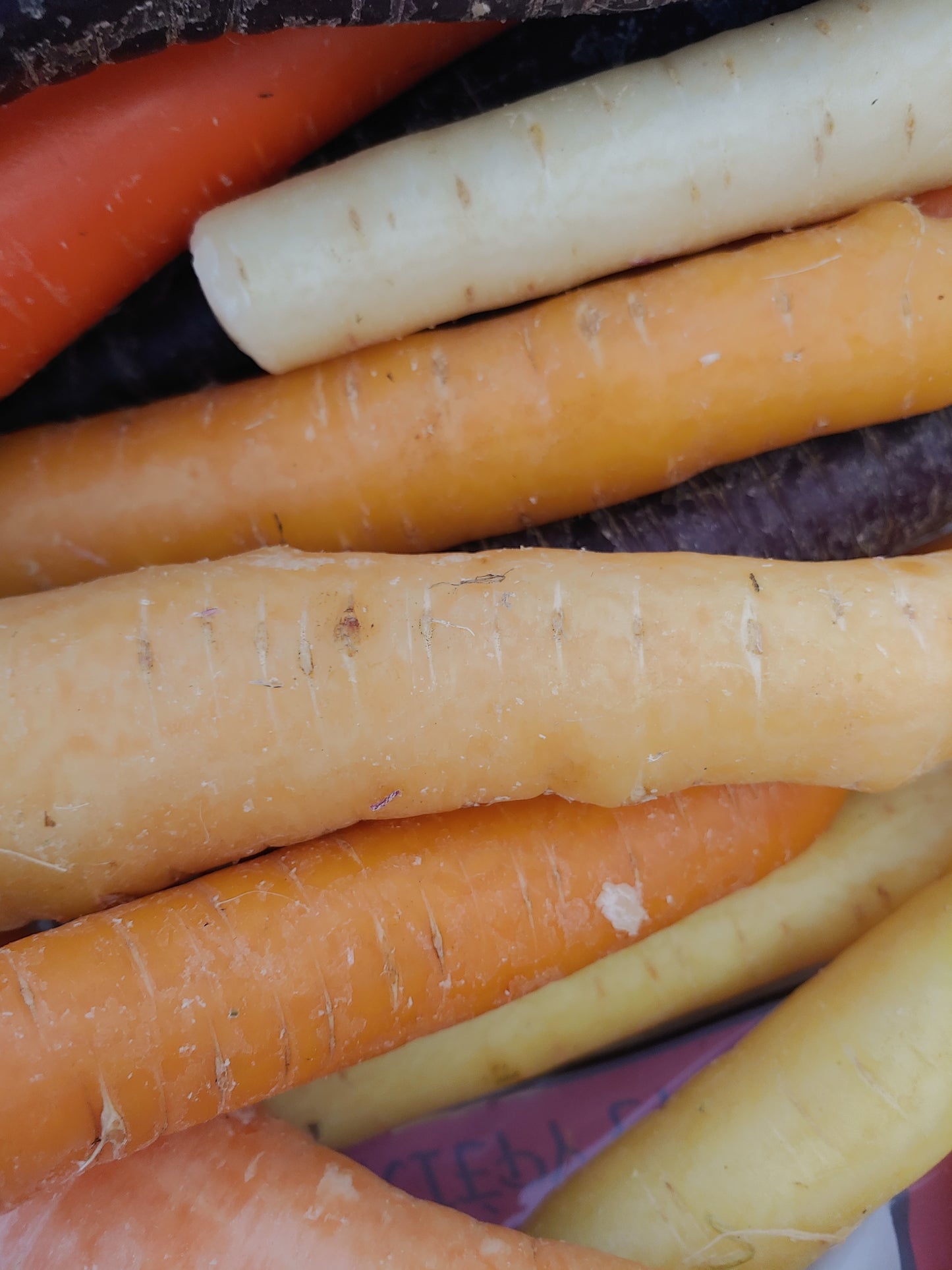 Rainbow Carrots