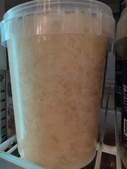 Fresh Sauerkraut