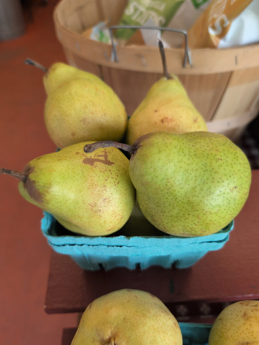 Bartlett Pears
