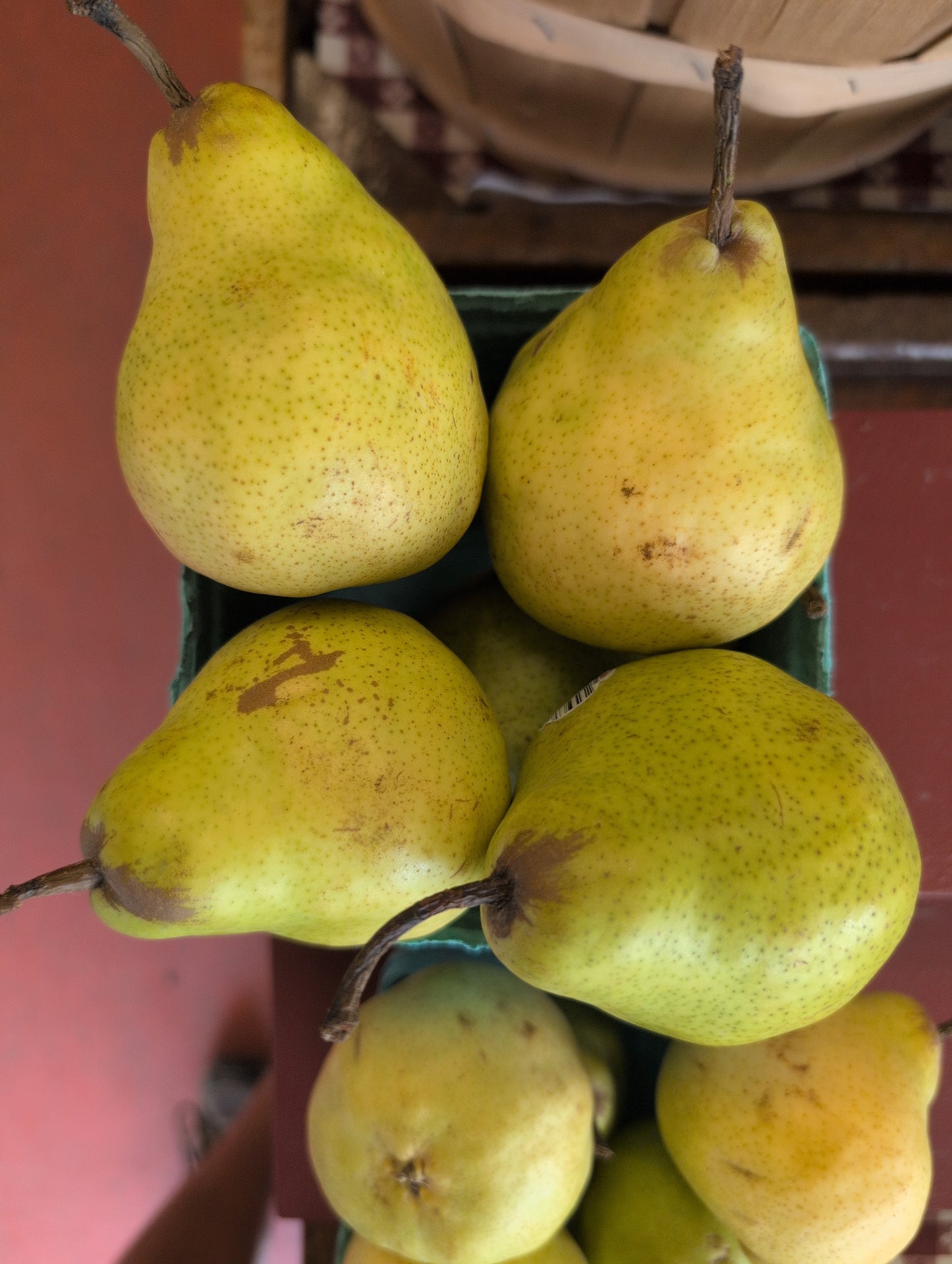Bartlett Pears
