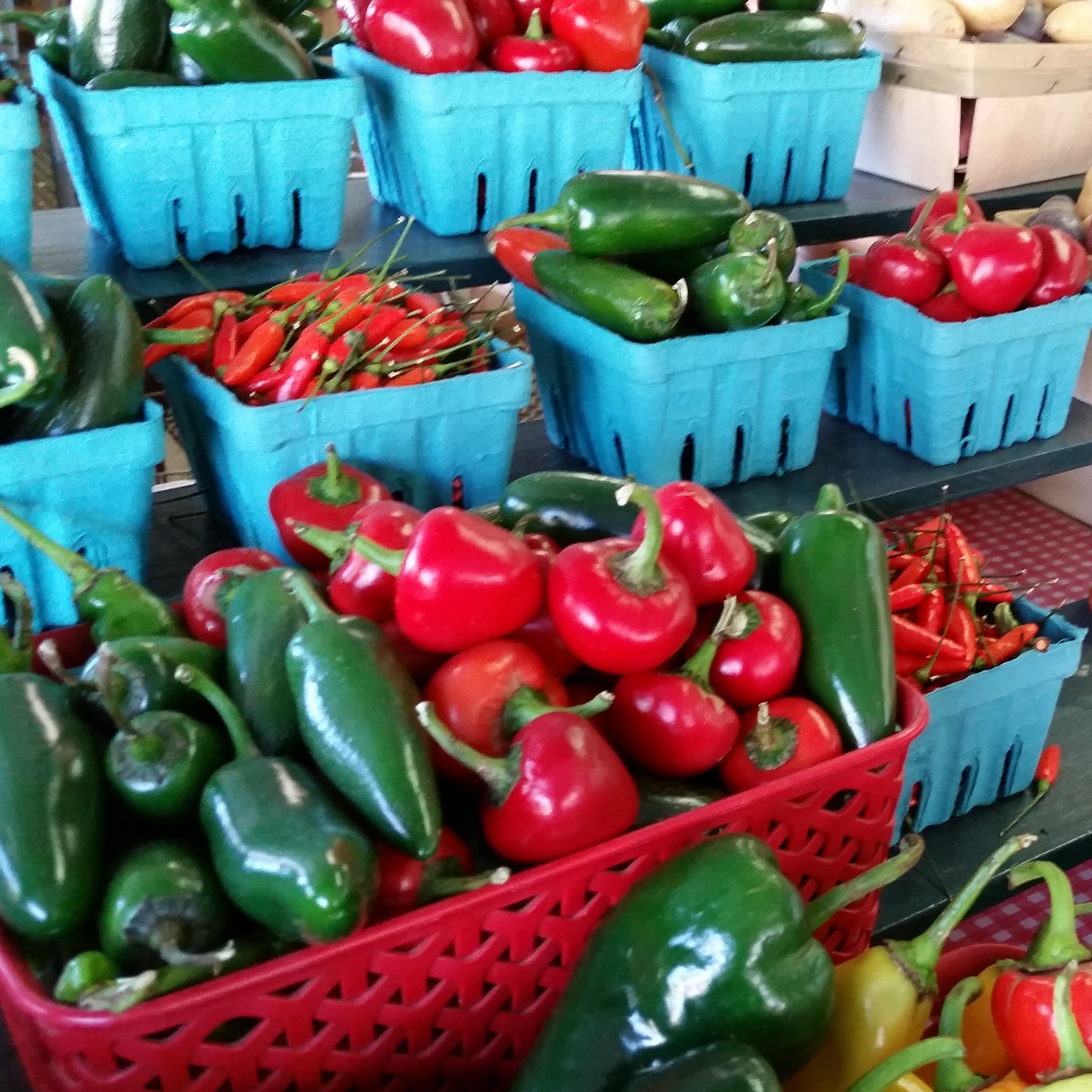 assorted hot peppers