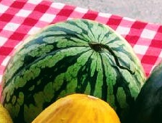Watermelon