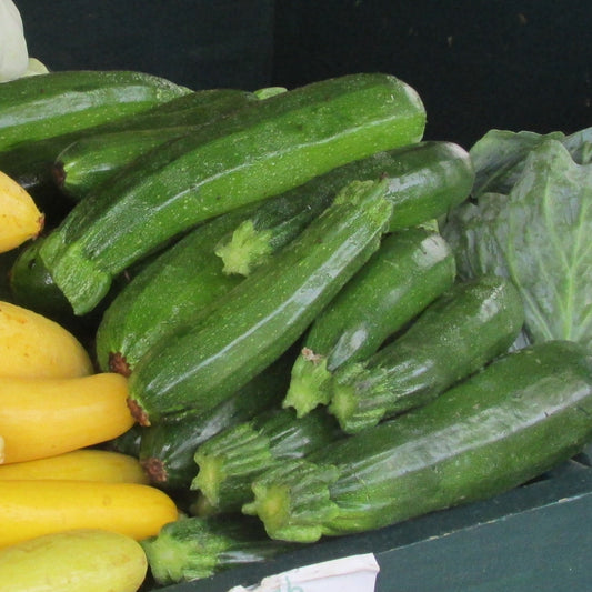 zuchinni