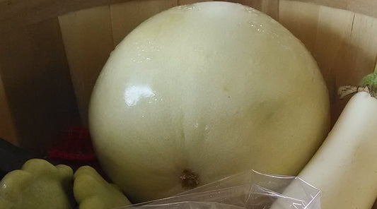 Honeydew