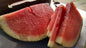 seedless watermelon