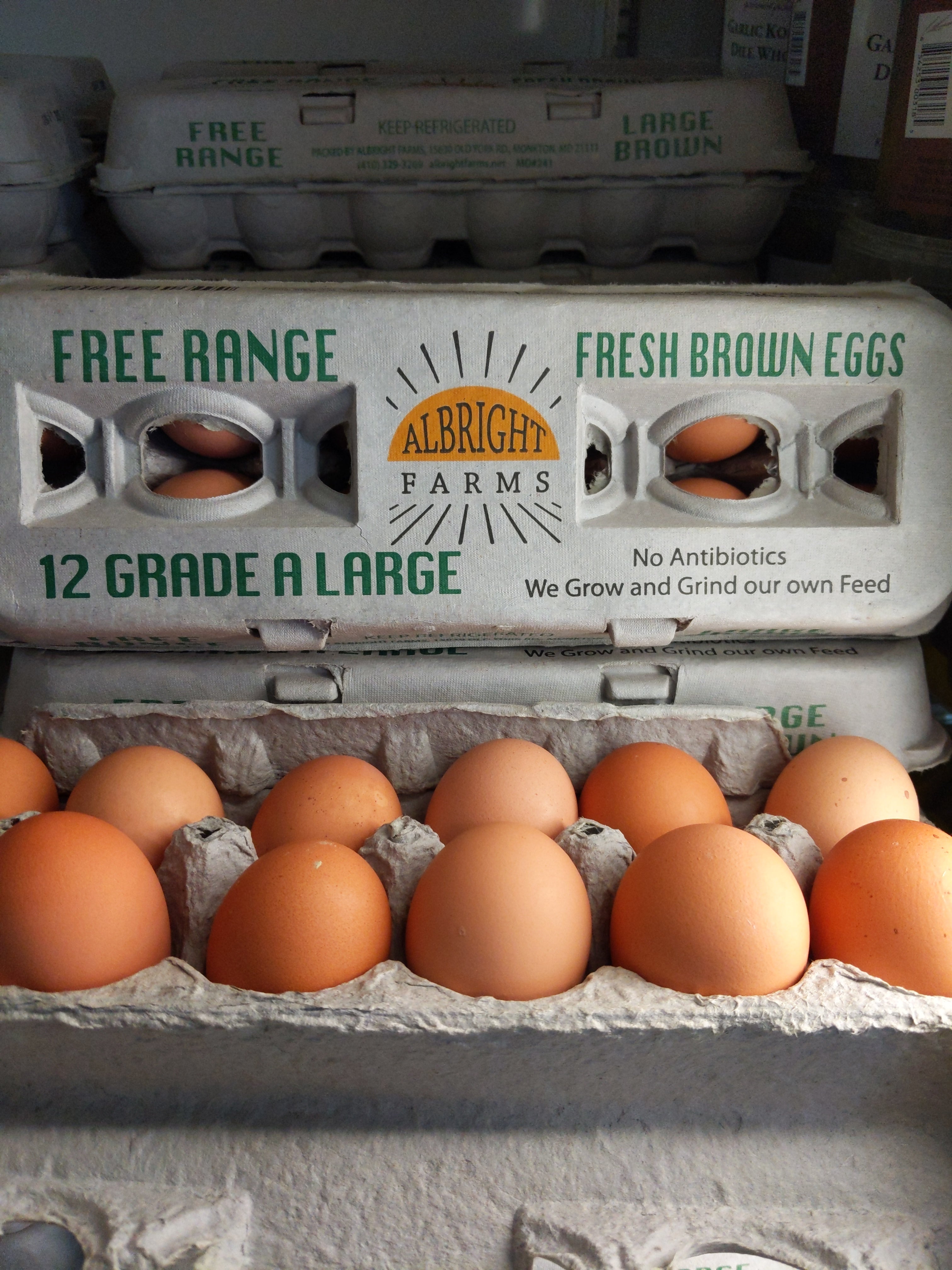 Eggs Free Range