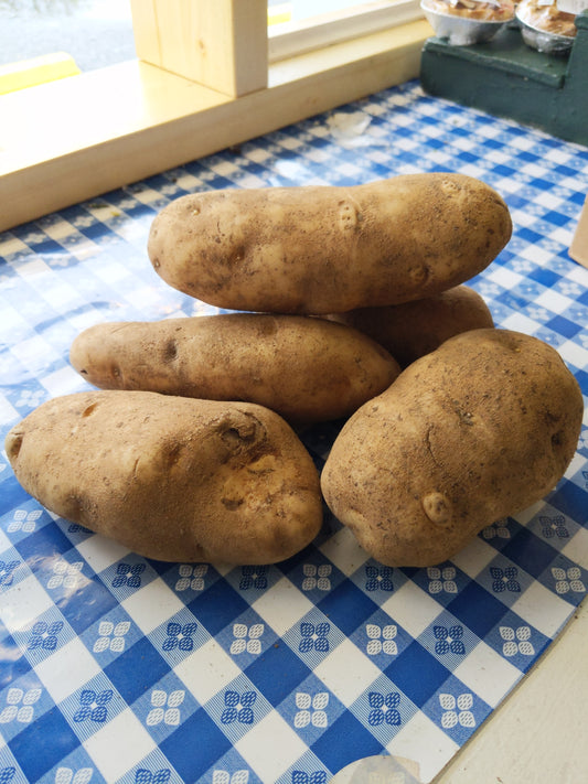 Baking Potatoes 5lbs