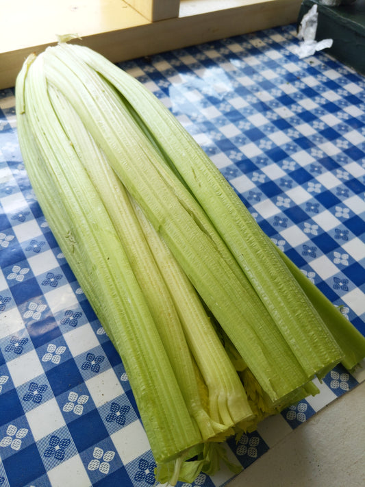 Celery