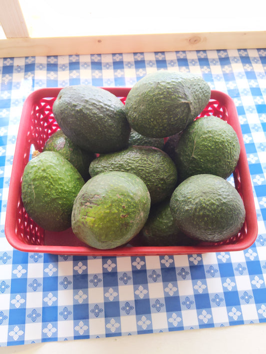 Creamy Avocado