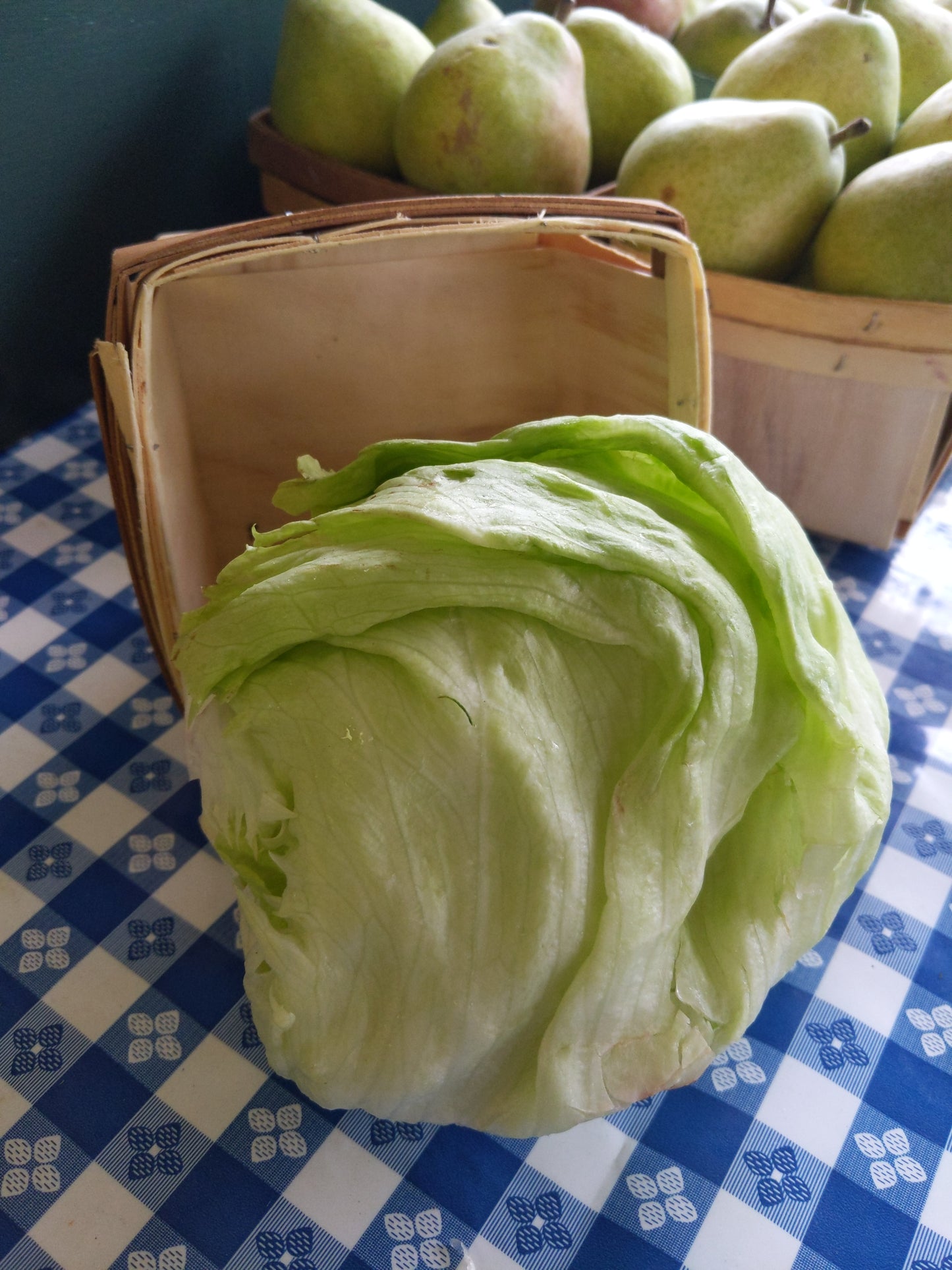 Iceberg Lettuce