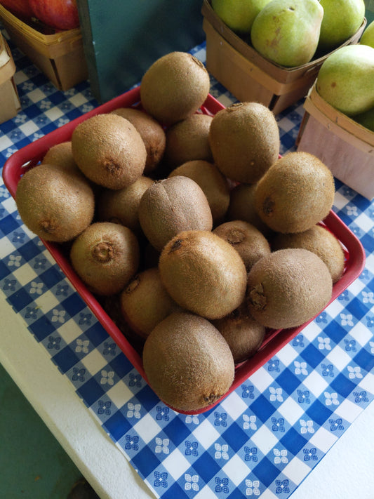 Kiwi (8)