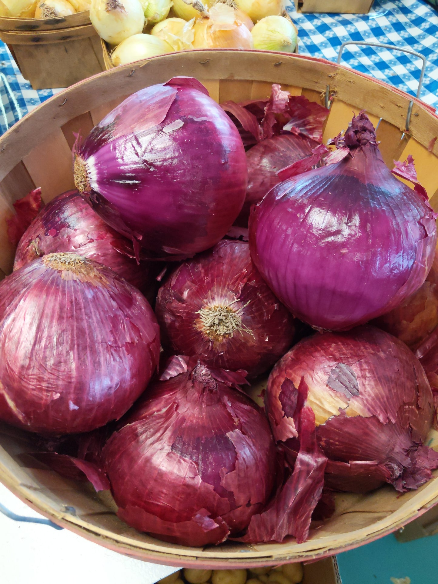 Red Onions (3)