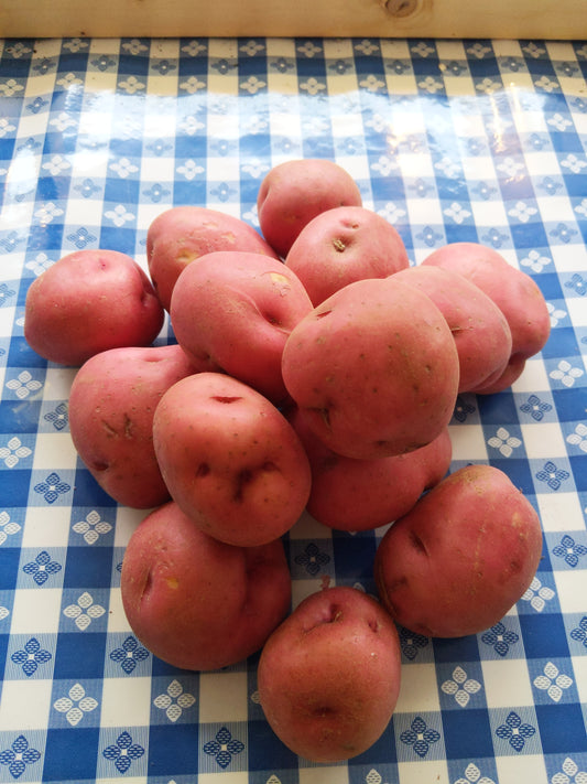 Red Potatoes 5lbs
