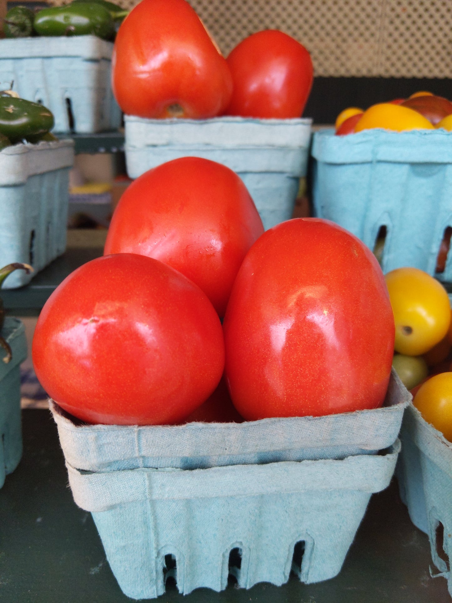 Roma Tomatoes