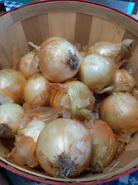 Sweet Onions (3)