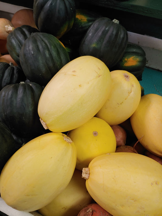 Spaghetti Squash