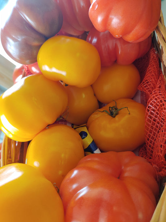 Heirloom Tomatoes 2lbs