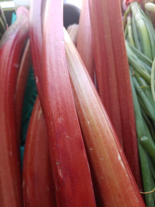 Rhubarb