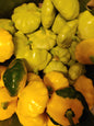 Patty Pan squash