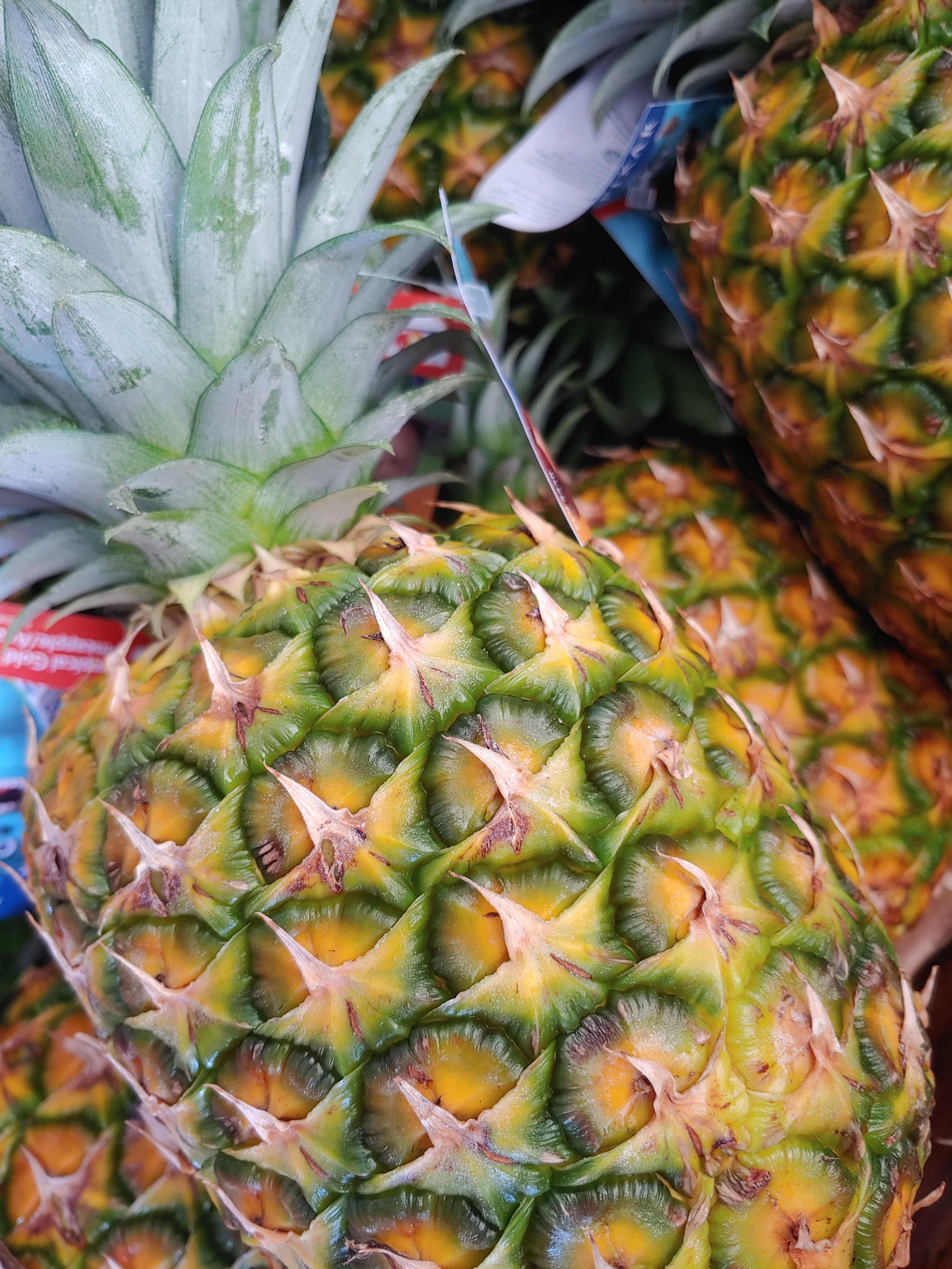 Pineapple