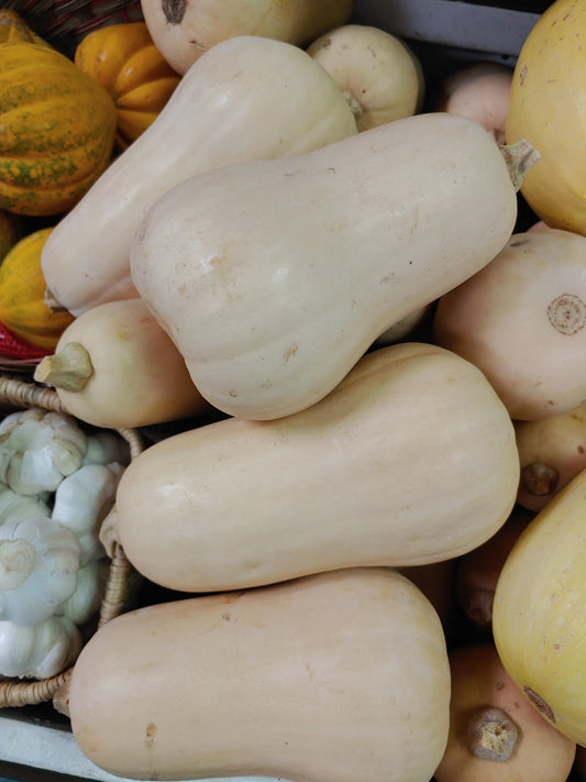 Butternut Squash