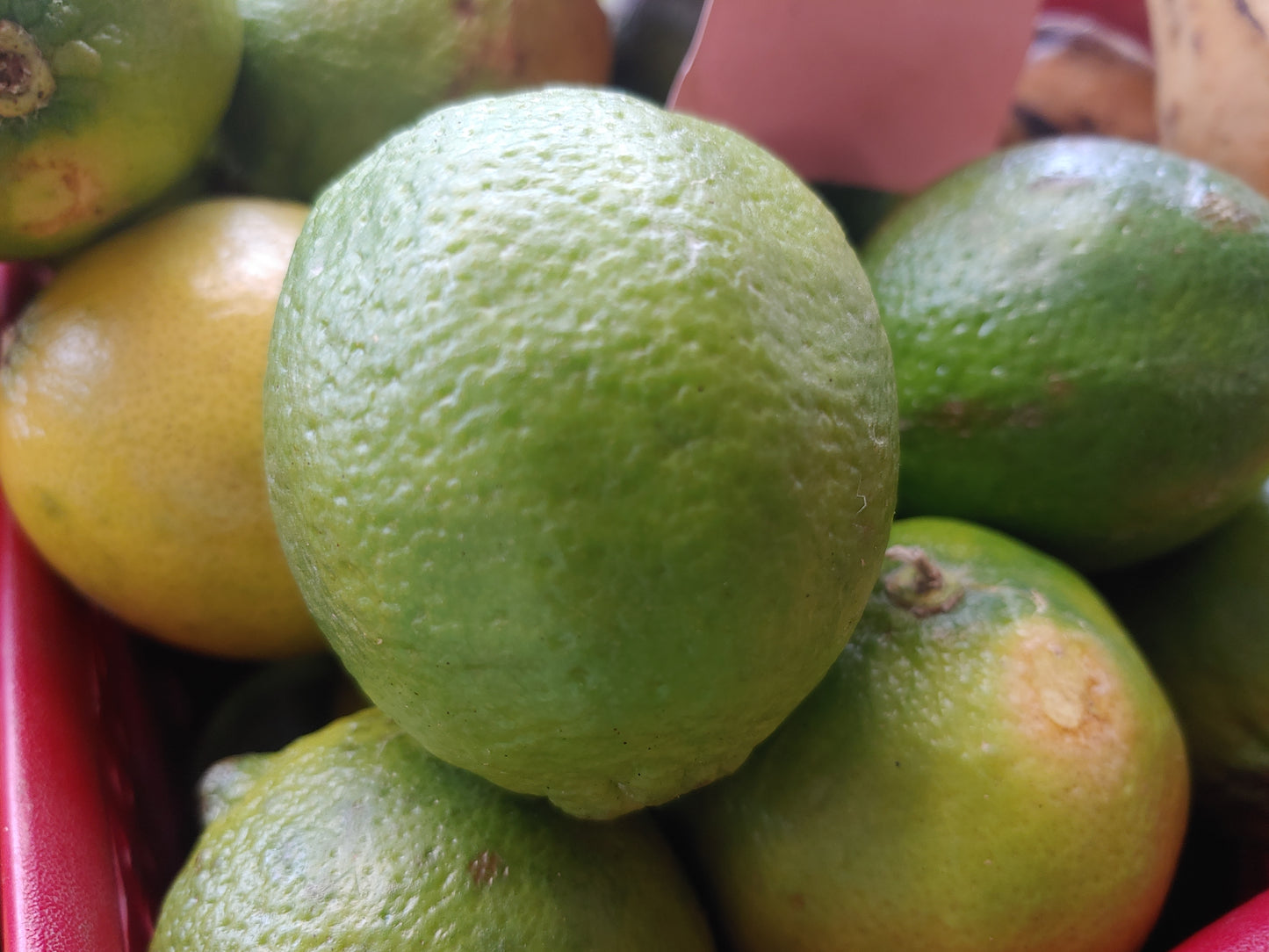 Lime