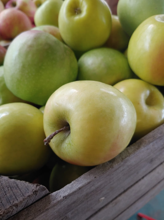 Granny Smith Apples