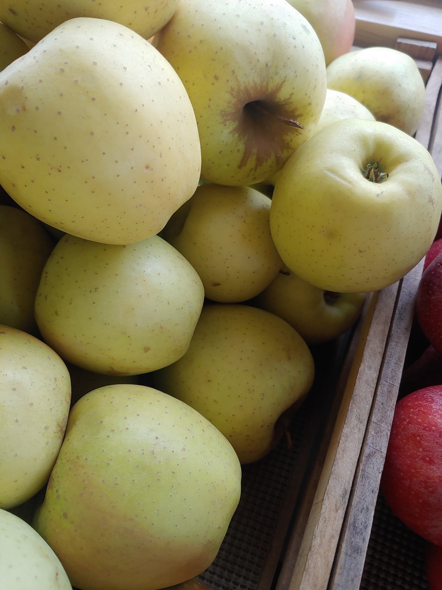 Golden Delicious Apples