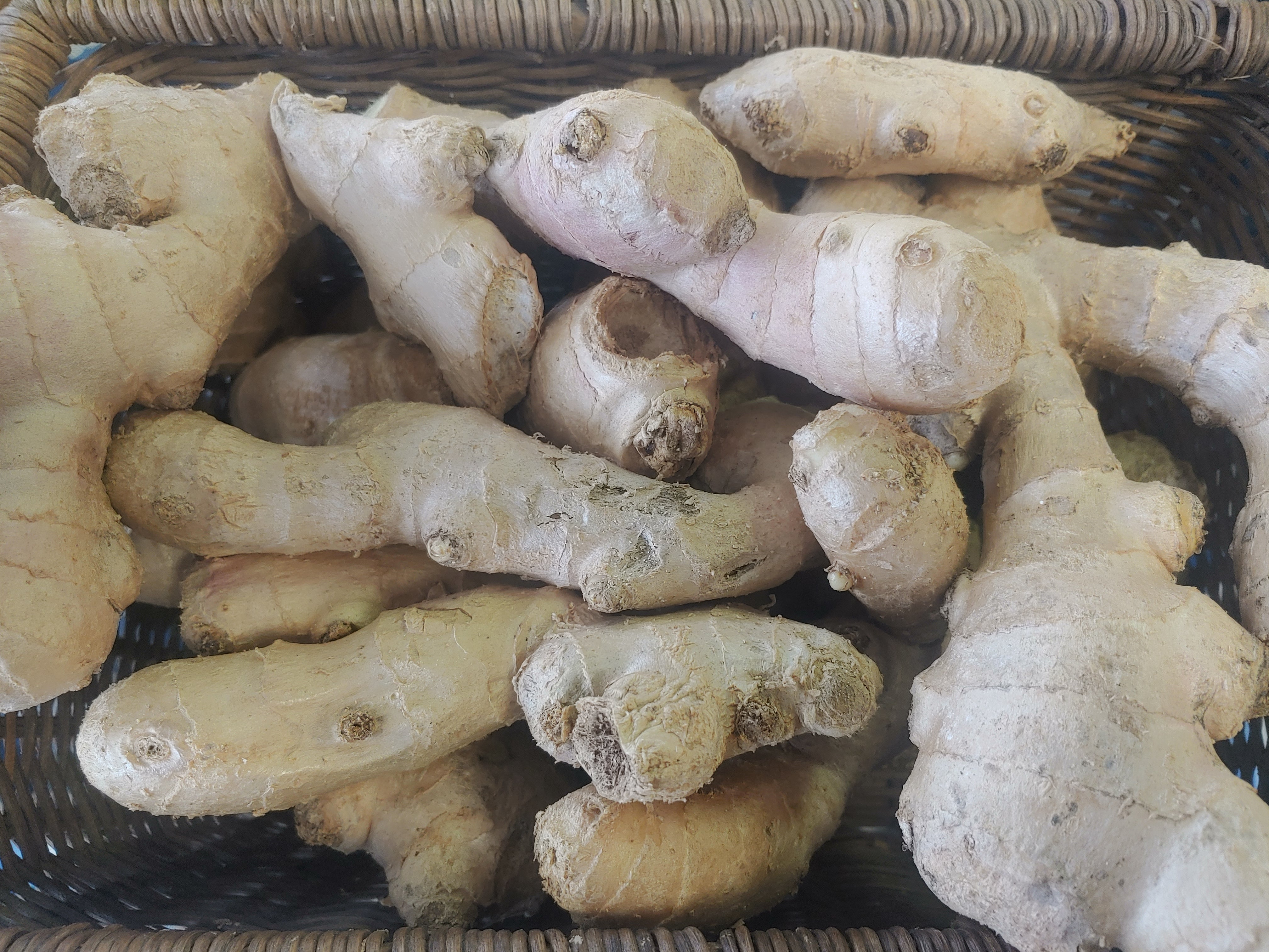 Fresh Ginger