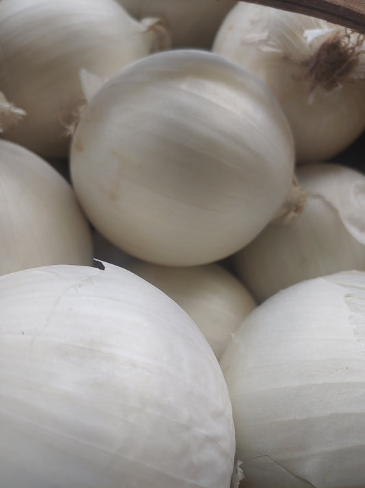 White Onions (3)