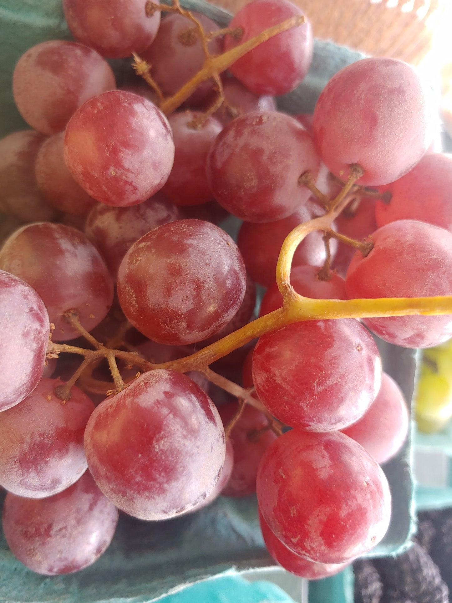 Seedless Grapes 2lbs