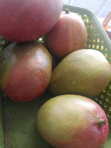 Mango