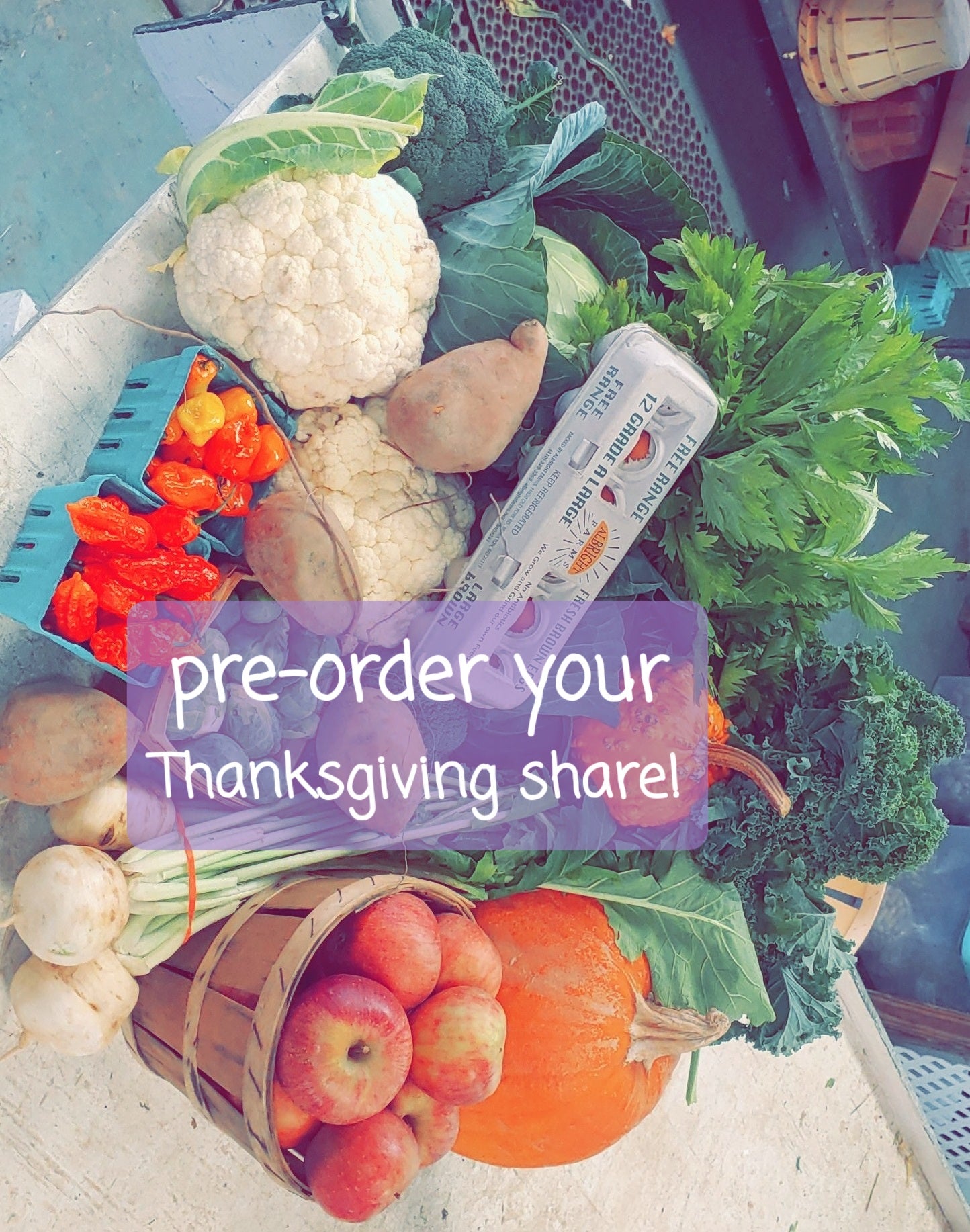 Fresh Turkey/ Thanksgiving Share PRE-ORDER 11/26 only