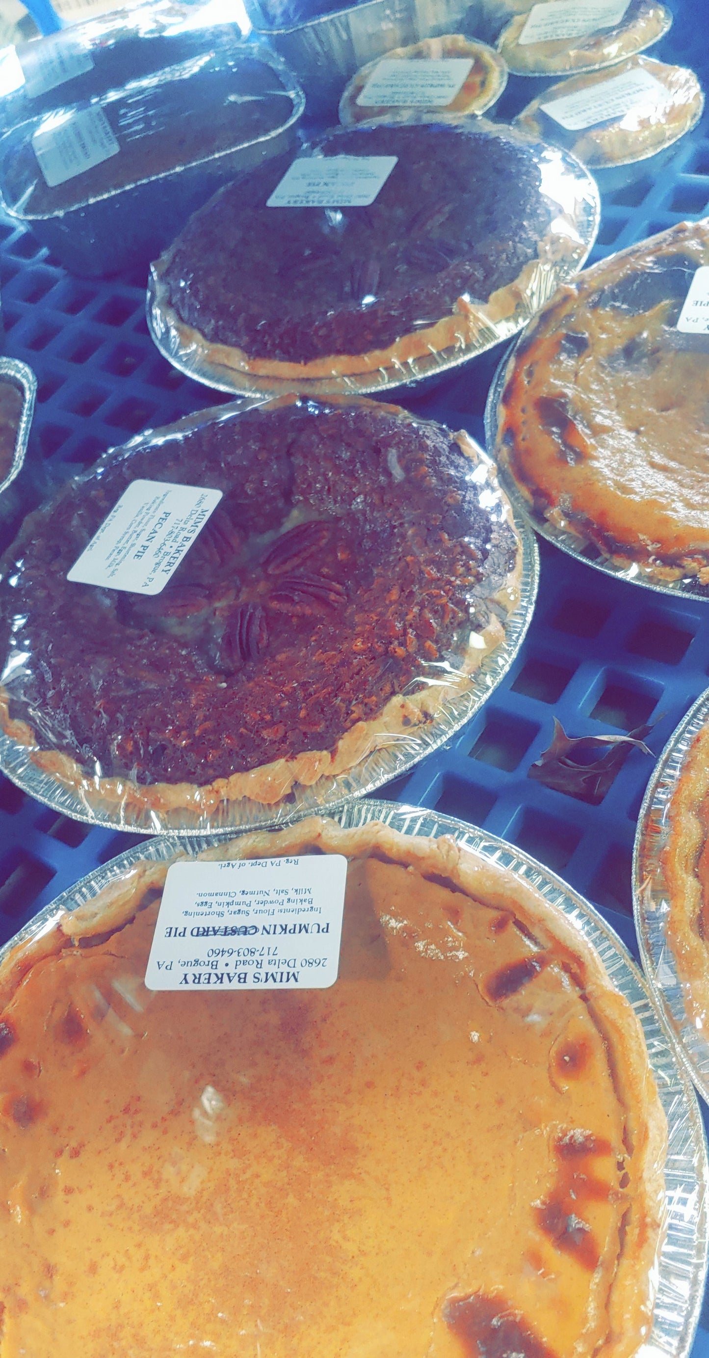 Large Pies
