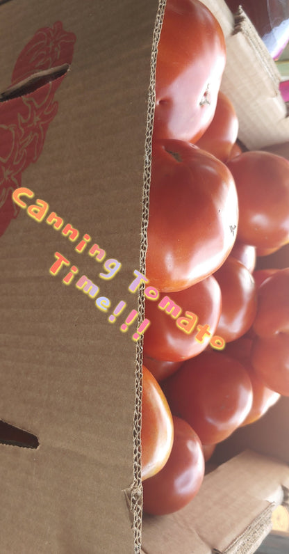 Canning Tomatoes
