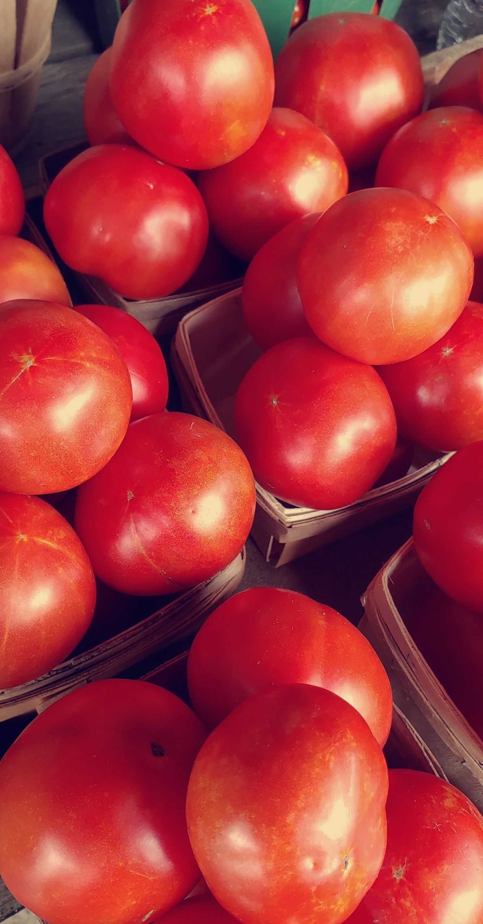 Tomatoes