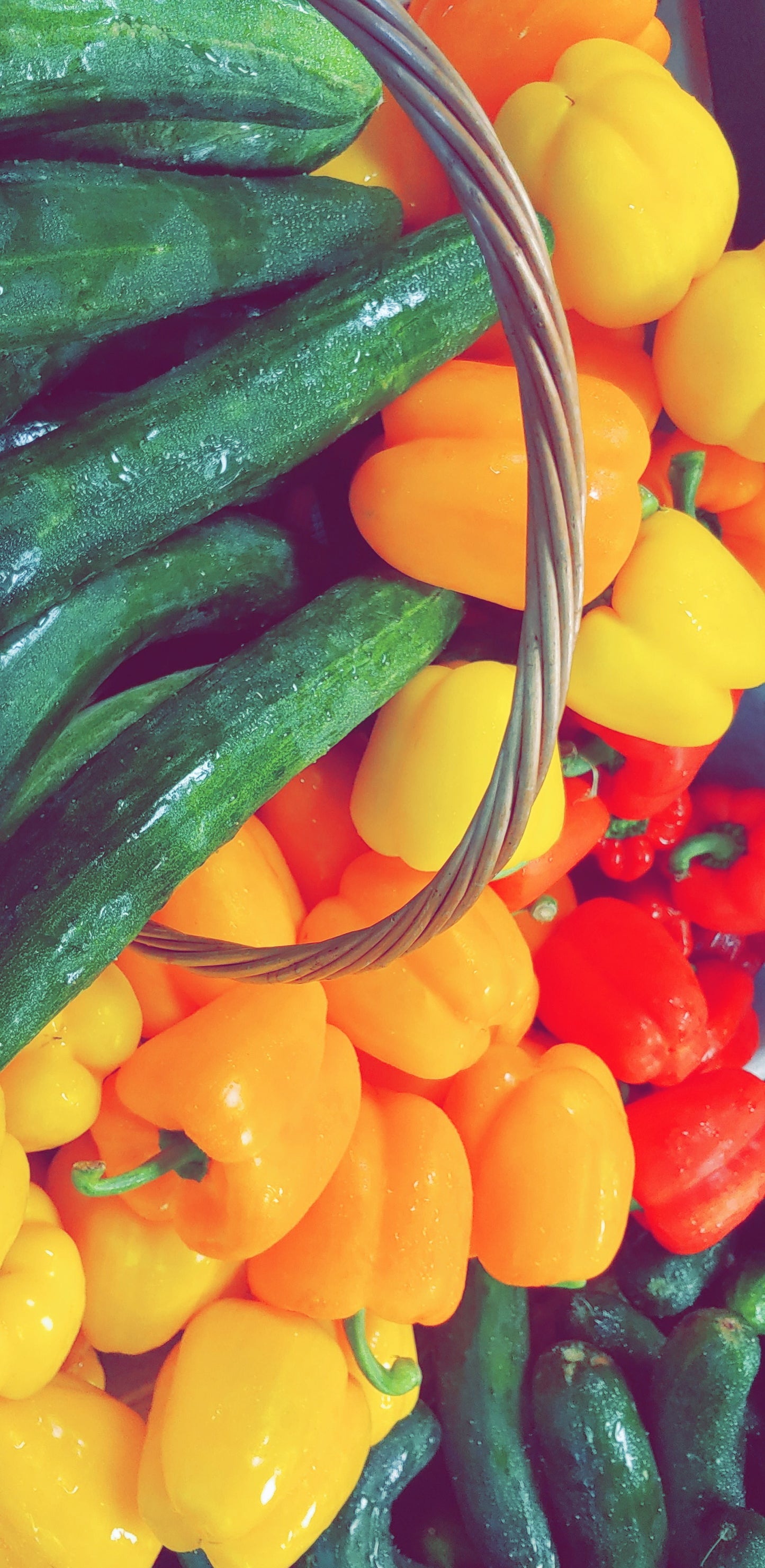 Bell Peppers