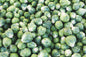 fresh brussel sprouts
