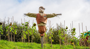 Scarecrow Making